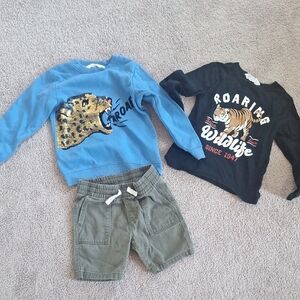 HM Kids Wild Animal Graphic Sweatshirts - Blue and Black
